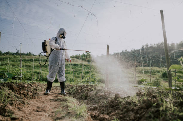 Best Ant Control Services  in Trinity, AL