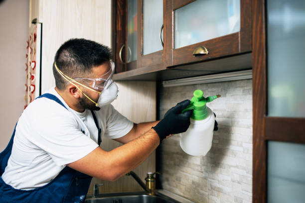 Best Flea Control Services  in Trinity, AL