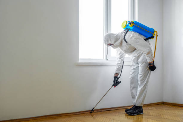 Best Affordable Pest Control Services  in Trinity, AL