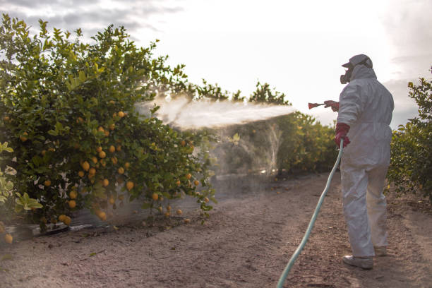Best Emergency Pest Control  in Trinity, AL