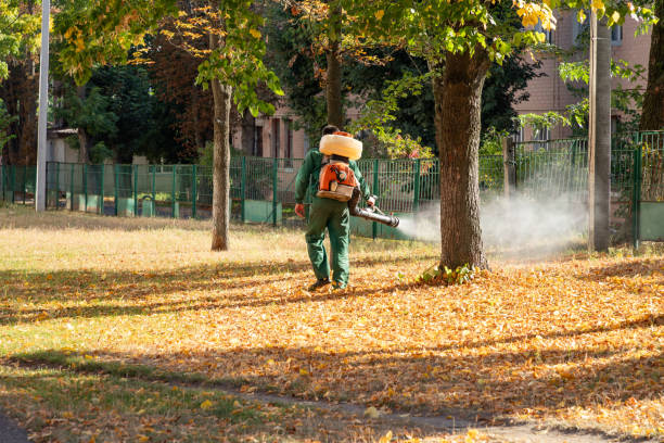 Best Insect Control  in Trinity, AL