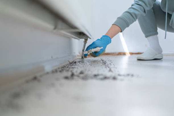 Best Mosquito Control Services  in Trinity, AL